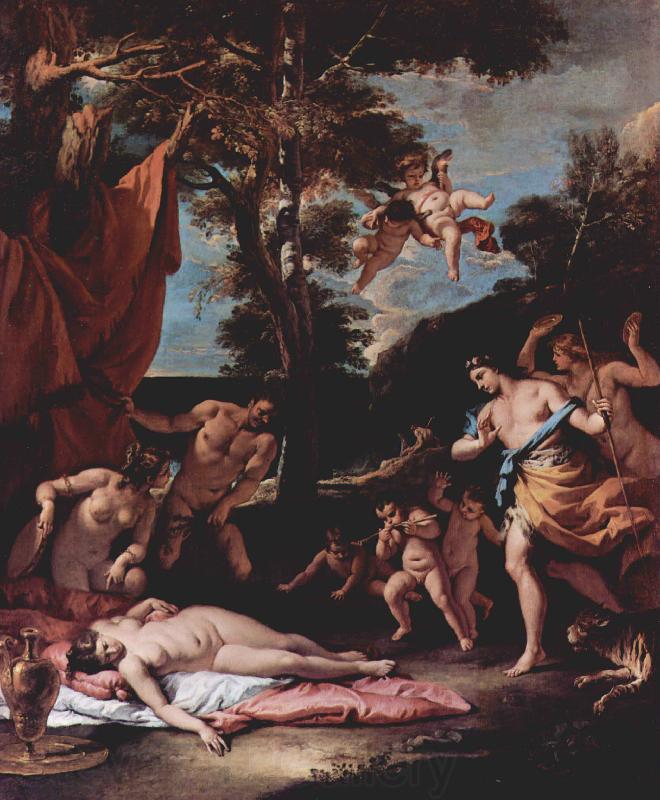 Sebastiano Ricci Bacchus und Ariadne France oil painting art